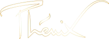 Logo Phénix présente Odyssée, les Étoiles du Cirque de Pékin